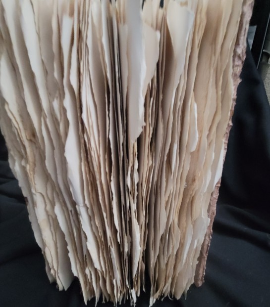 Witch’s Spellbook: Inspired by Hocus Pocus